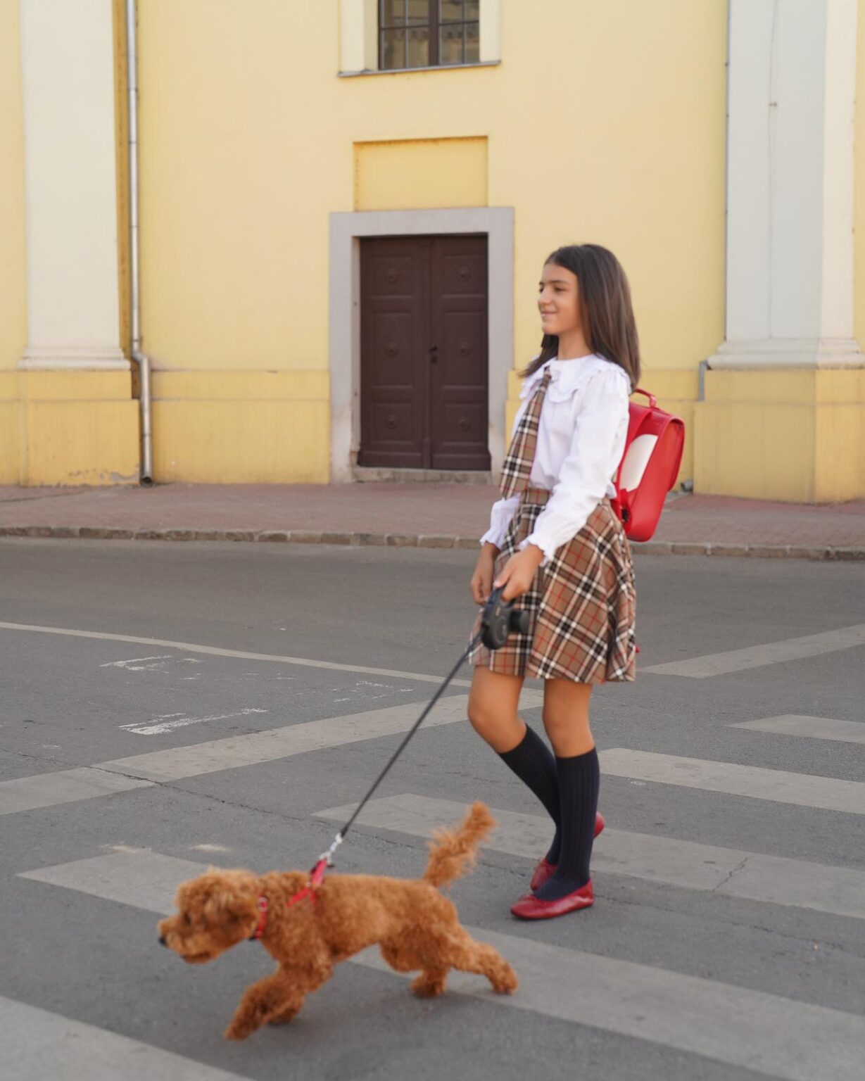 Set Back To School,Little Rose
